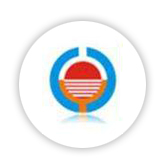 华丽染料