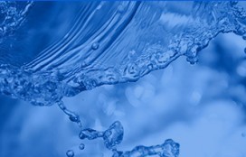 水温过高会影响出水氨氮超标吗？