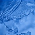 导致出水总氮超标的原因有哪些？