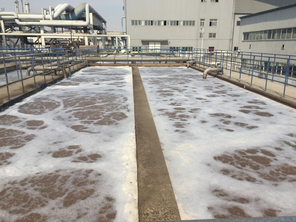 制糖工业废水处理工艺降低能耗的办法有哪些？